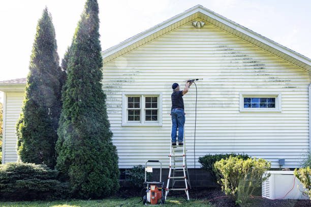 Best Driveway Pressure Washing  in Flint, MI